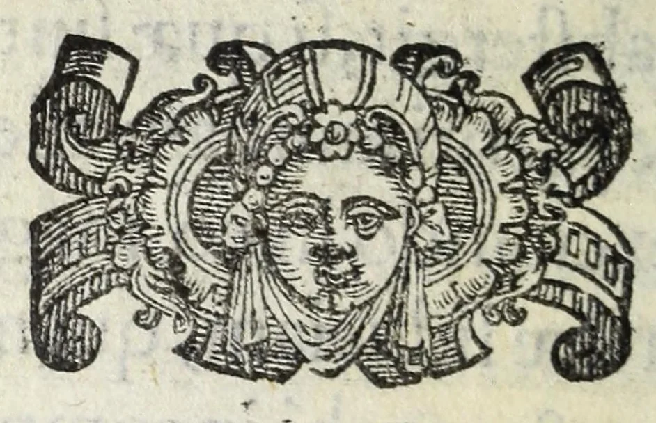 An illustration from Vinea Domini : cum breui descriptione sacramentor[um] et Paradisi, Limbi, Purgatorij, atq[ue] Inferni, à cathechismo catholicis q[ue] patribus excerpta, 1588, leaf 82