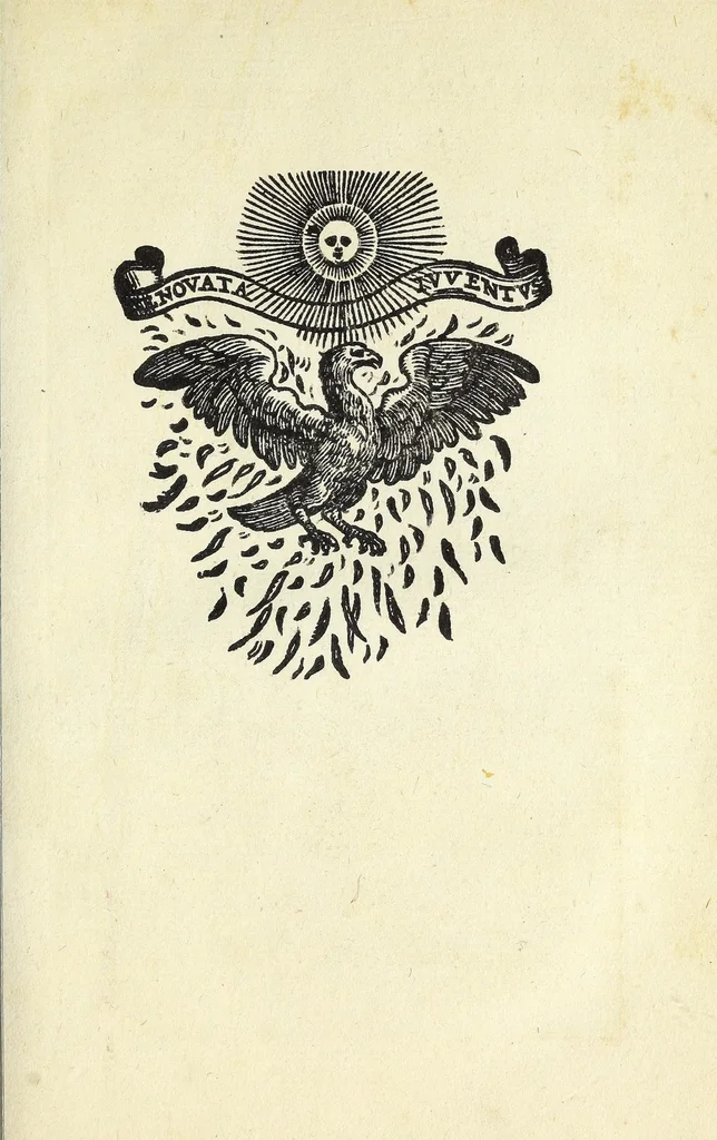 An illustration from Vinea Domini : cum breui descriptione sacramentor[um] et Paradisi, Limbi, Purgatorij, atq[ue] Inferni, à cathechismo catholicis q[ue] patribus excerpta, 1588, leaf 89