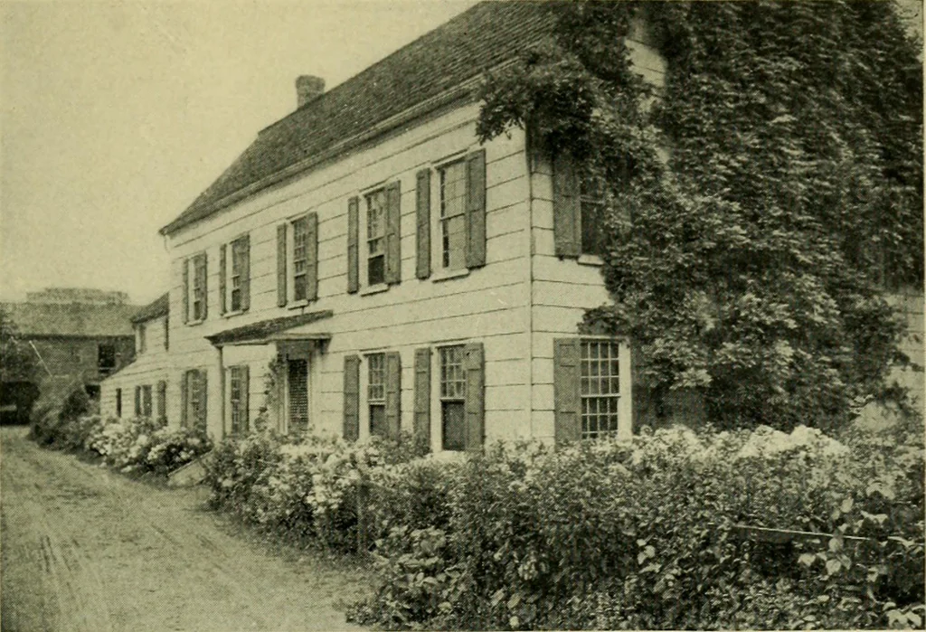 An illustration from Vines and how to grow them; a manual of climbing plants for flower, foliage and fruit effects, both ornamental and useful, including those shrubs and similar forms that may be used as vines, 1911, leaf 172