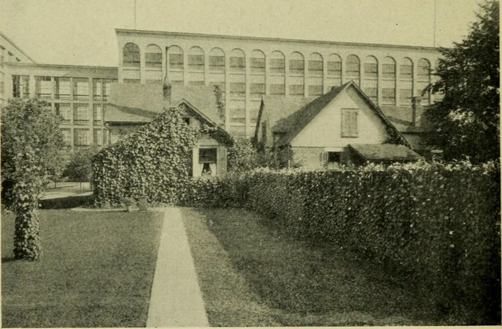 An illustration from Vines and how to grow them; a manual of climbing plants for flower, foliage and fruit effects, both ornamental and useful, including those shrubs and similar forms that may be used as vines, 1911, leaf 281