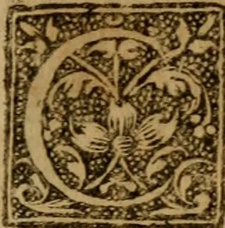 An illustration from Vint sermons de Iean Daillé : prononcés à Charenton sur certains jours et certains temps de l'année., 1658, leaf 308