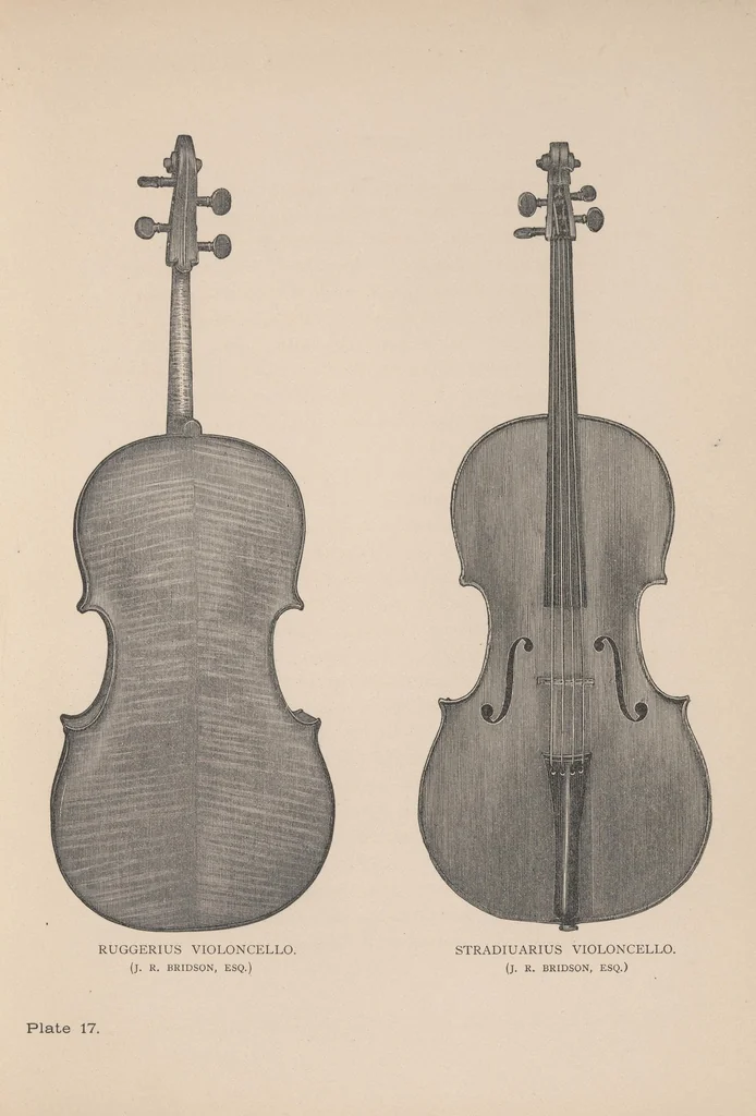 An illustration from The violin: its famous makers and their imitators. With numerous wood engravings from photographs of the works of Stradiuarius, Guarnerius, Amati, and others, 1875, leaf 199