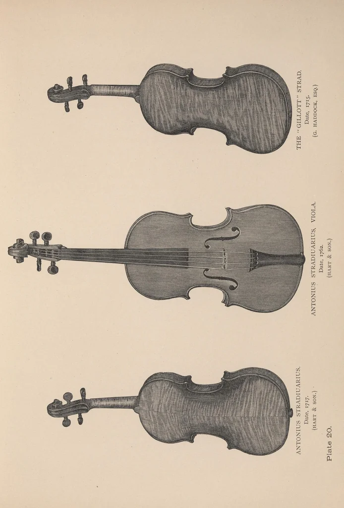 An illustration from The violin: its famous makers and their imitators. With numerous wood engravings from photographs of the works of Stradiuarius, Guarnerius, Amati, and others, 1875, leaf 333