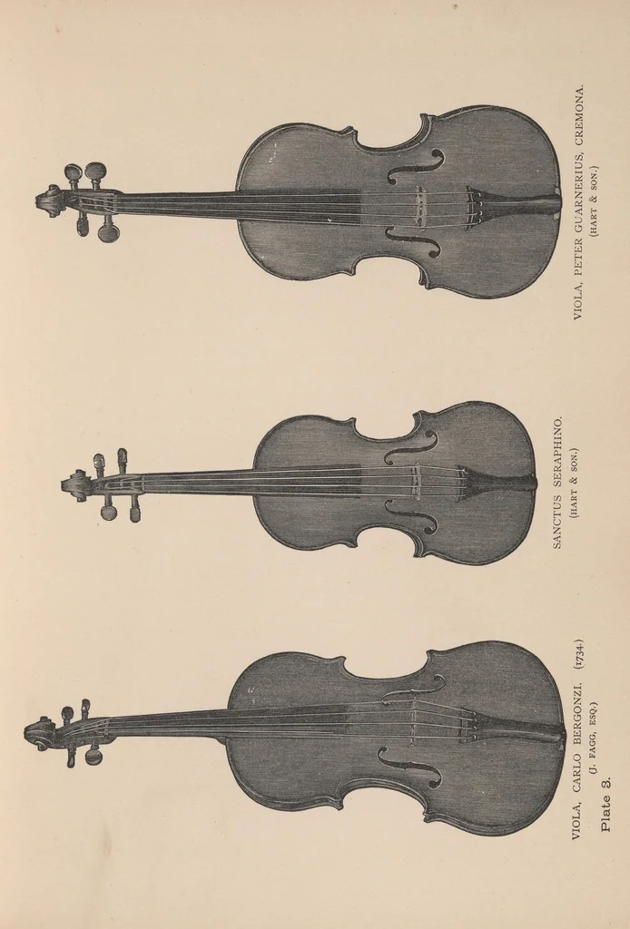 An illustration from The violin: its famous makers and their imitators. With numerous wood engravings from photographs of the works of Stradiuarius, Guarnerius, Amati, and others, 1875, leaf 63