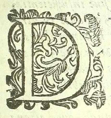 An illustration from Vipera Pythia :, 1651, leaf 13