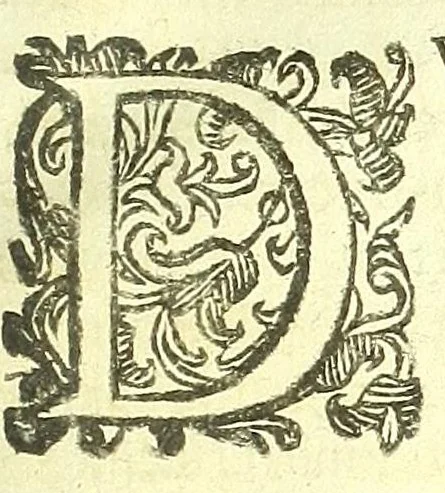 An illustration from Vipera Pythia :, 1651, leaf 187