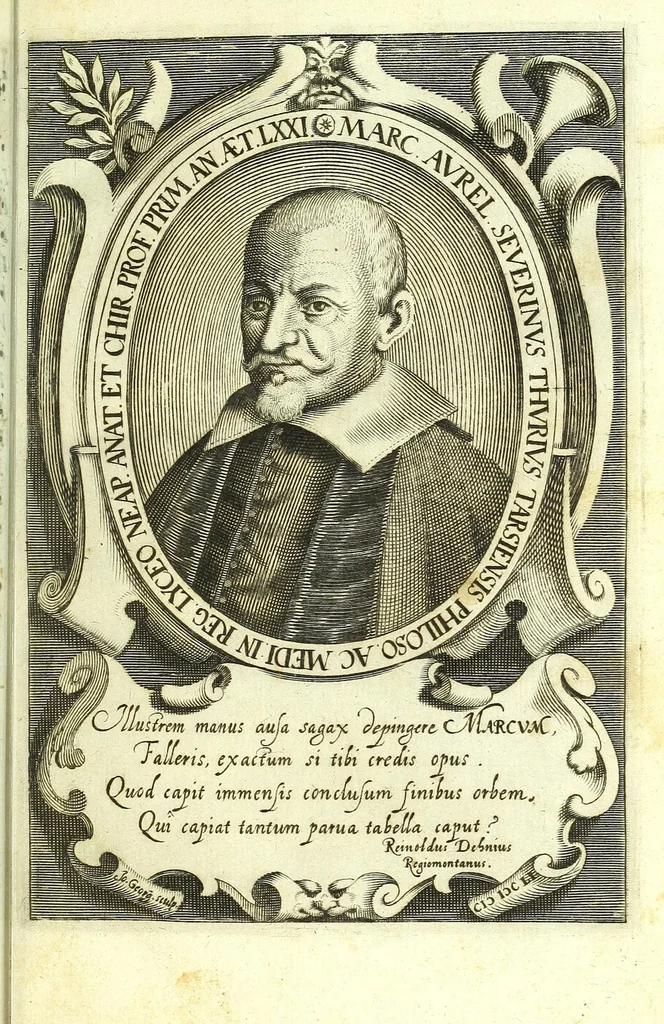 An illustration from Vipera Pythia :, 1651, leaf 23