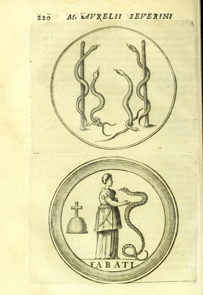 An illustration from Vipera Pythia :, 1651, leaf 244