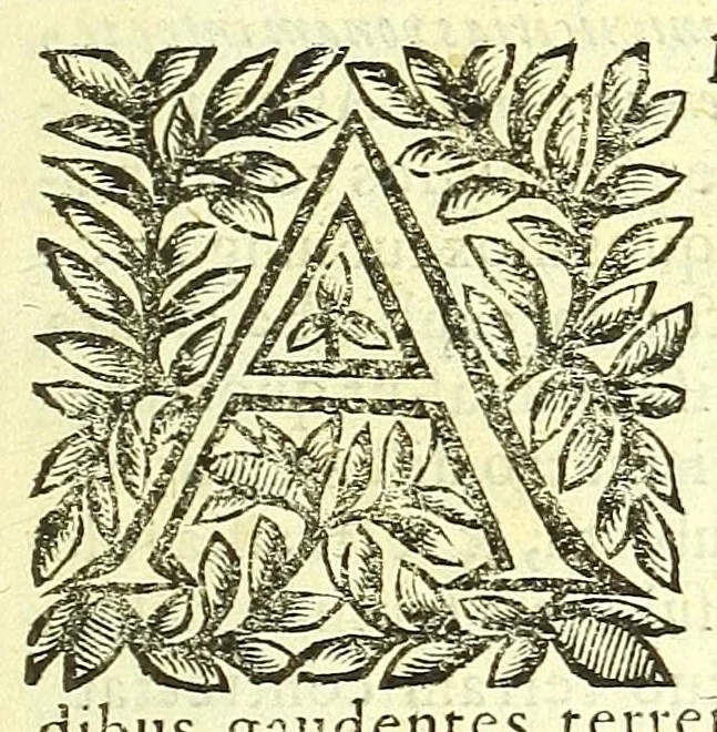 An illustration from Vipera Pythia :, 1651, leaf 25