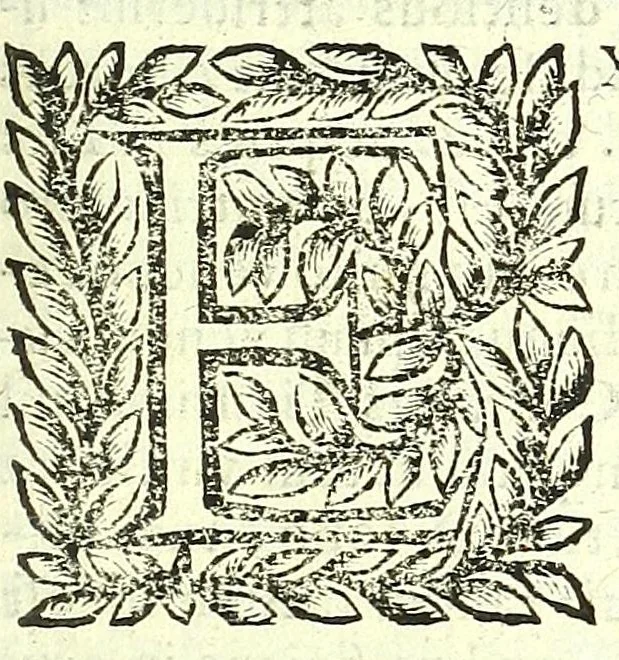 An illustration from Vipera Pythia :, 1651, leaf 297