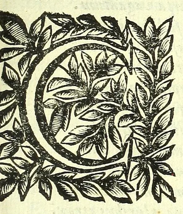 An illustration from Vipera Pythia :, 1651, leaf 429