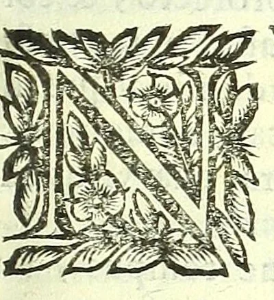 An illustration from Vipera Pythia :, 1651, leaf 461