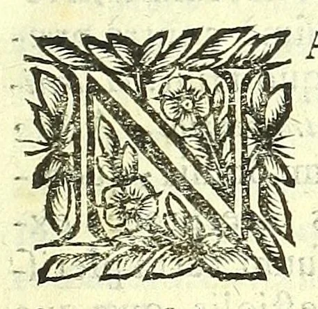 An illustration from Vipera Pythia :, 1651, leaf 49