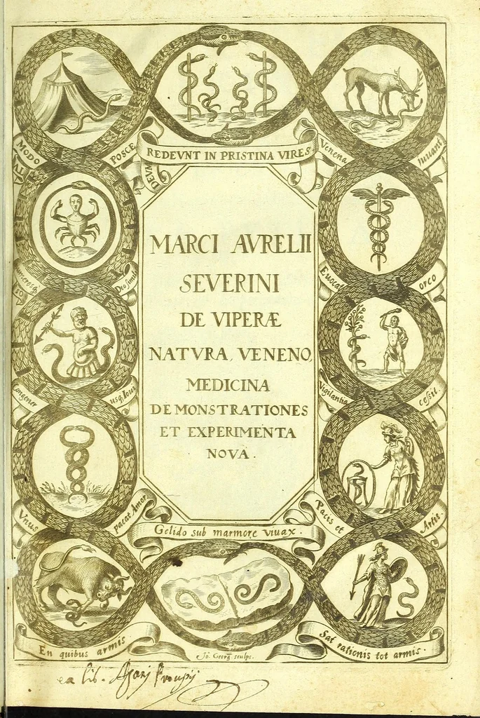 An illustration from Vipera Pythia :, 1651, leaf 7