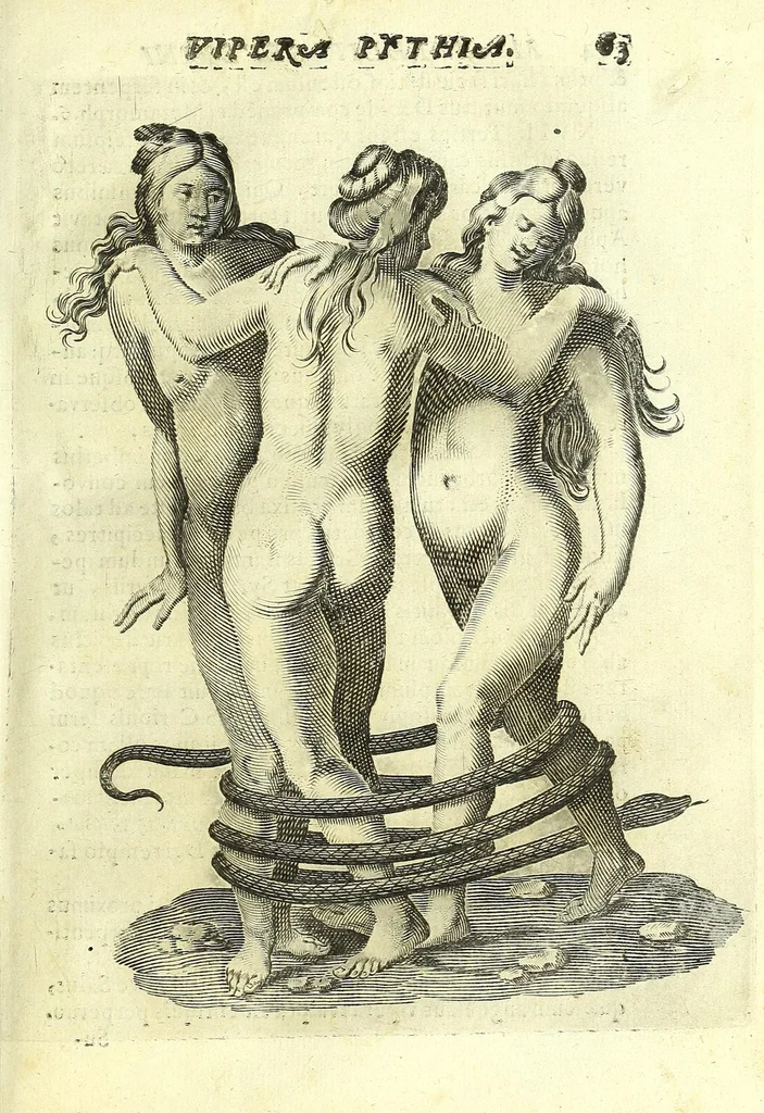 An illustration from Vipera Pythia :, 1651, leaf 87