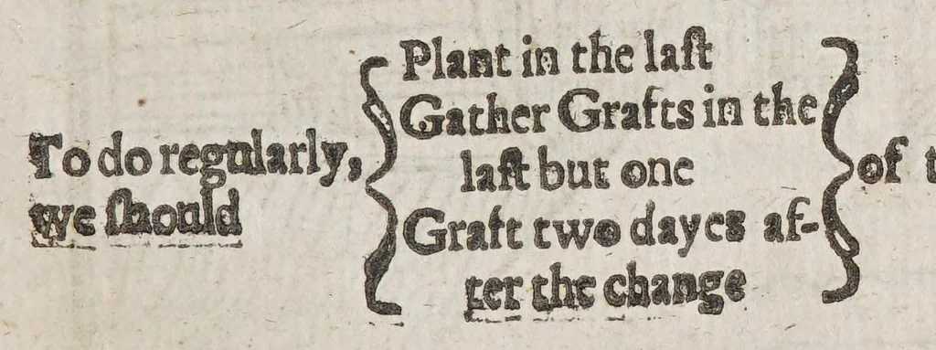 An illustration from Virginia: more especially the south part thereof, richly and truly valued: : viz. The fertile Carolana, and no lesse excellent Isle of Roanoak, of latitude from 31. to 37. degr. relating the meanes of raysing infinite profits to the adventurers and planters., 1650, leaf 153