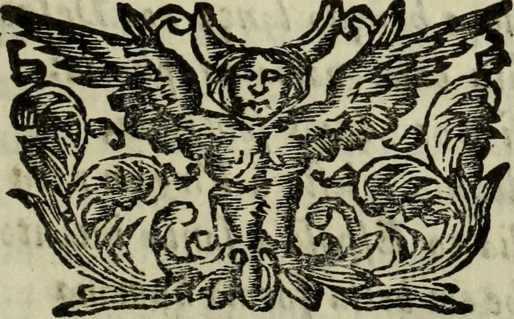 An illustration from Virginidos, ou, Vida da Virgem Senhora Nossa : poema heroico, 1668, leaf 248