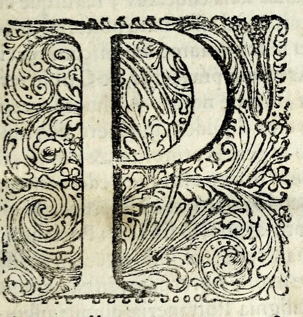 An illustration from Viri illustris Nicolai Claudij Fabricij de Peiresc, senatoris aquisextiensis vita, 1655, leaf 15