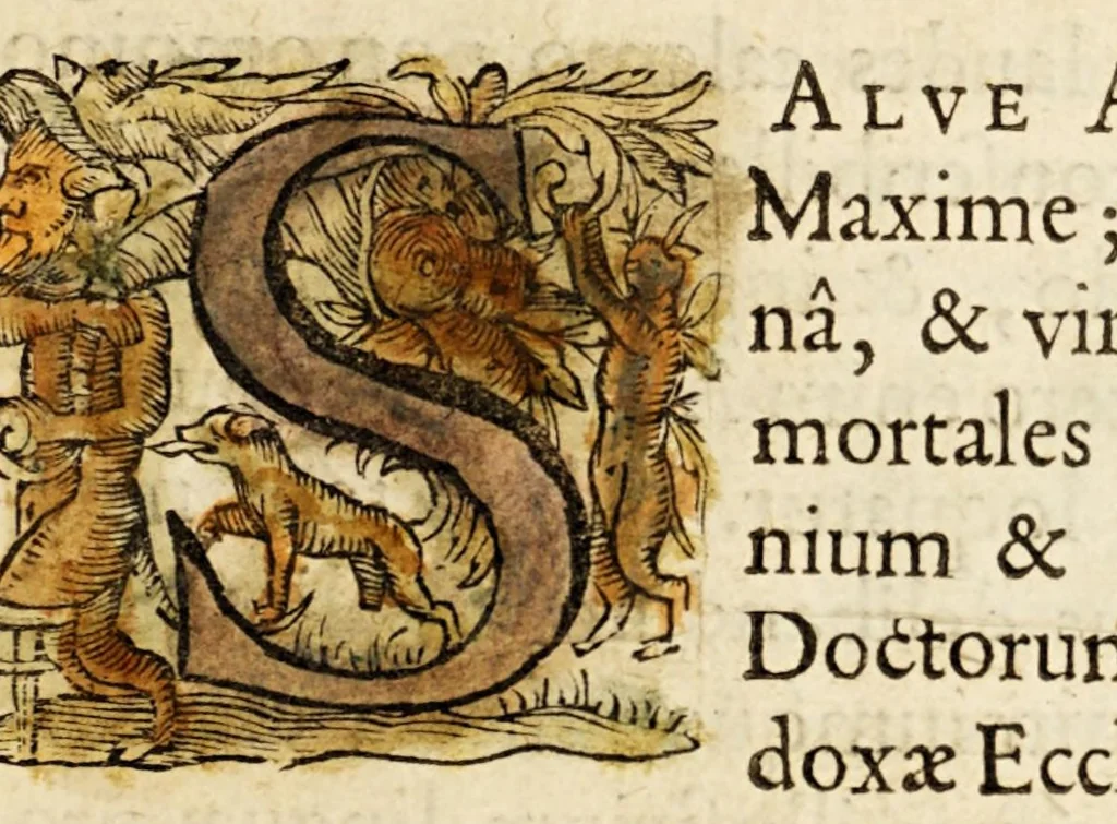 An illustration from Virorum illustrium ex ordine eremitarum D. Augustini elogia : cum singulorum expressis ad vivum iconibus., 1636, leaf 19
