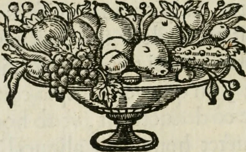 An illustration from Virtutes cardinales ethico emblemate expressae : ad praenob. et generos. dominum D. Franciscum de Kinschot, equitem ordinis S. Iacobi, etc, 1645, leaf 27