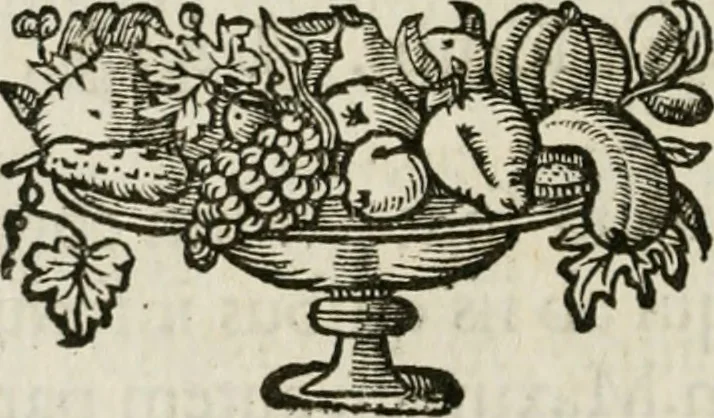 An illustration from Virtutes cardinales ethico emblemate expressae : ad praenob. et generos. dominum D. Franciscum de Kinschot, equitem ordinis S. Iacobi, etc, 1645, leaf 35