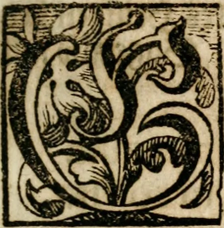 An illustration from VIrtVosIVs pantheon, Deo & sanCtIs ereCtVM, id est, Sermones panegyrici de praecipuis sacrorum ordinum fundatoribus, patriarchis, aliisque terrarum patronis, ad normam & formam Psalmo-graphi, Psal. 148.v.I : LaVDate IpsVM In eXCeLsIs : insertis nonnullis festis de B.M.V. de circumcisione Domini &c. & duodecim signis praedestinationis, quorum singula singulis mensibus praefiguntur cum symbolis chrono-graphicis, & figuris = Das ist, Lob-Predigen von denen fürnehmsten heil. Ordens-Stifftern, Patriarchen, und andern heiligen Lands-Patronen : dann auch auff etwelchen Mariae-Festtägen, und von denen 12. Zeichen der göttlichen Gnaden-Wahl, deren jedes jedem Monat vorgesetzt wird : pars [I-III], 1723, leaf 24
