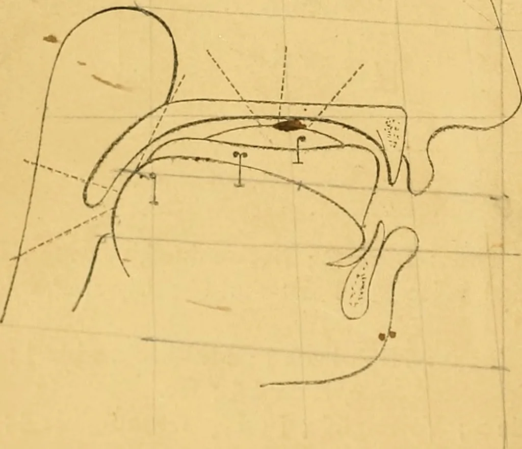 An illustration from Visible speech, the science of universal alphabets, : or Self-interpreting physiological letters, for the writing of all languages in one alphabet ; illustrated by tables, diagrams, and examples, 1867, leaf 41