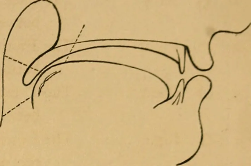 An illustration from Visible speech, the science of universal alphabets, : or Self-interpreting physiological letters, for the writing of all languages in one alphabet ; illustrated by tables, diagrams, and examples, 1867, leaf 56