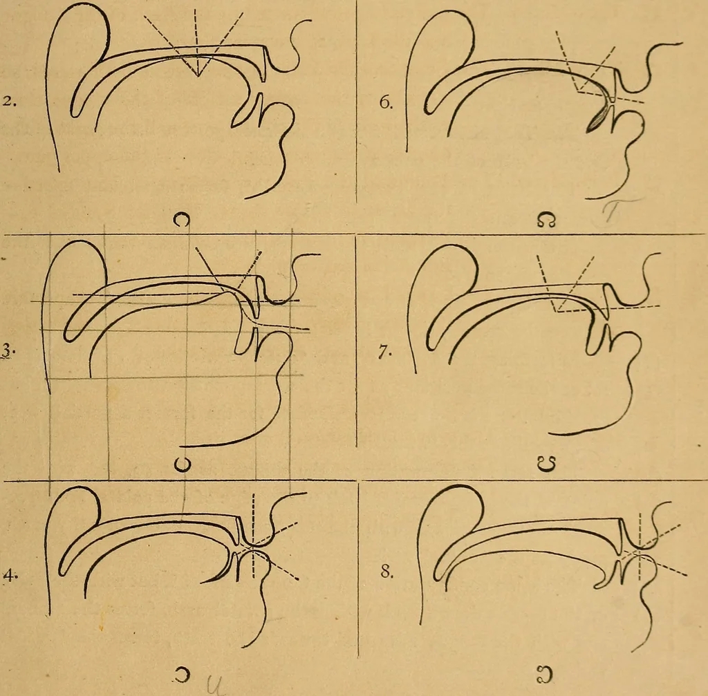 An illustration from Visible speech, the science of universal alphabets, : or Self-interpreting physiological letters, for the writing of all languages in one alphabet ; illustrated by tables, diagrams, and examples, 1867, leaf 56