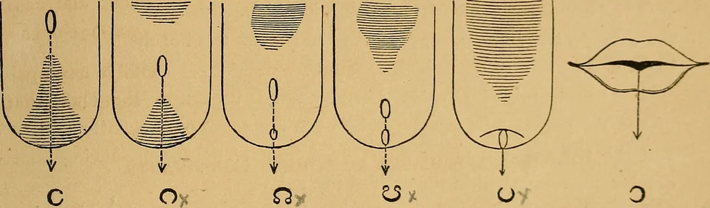 An illustration from Visible speech, the science of universal alphabets, : or Self-interpreting physiological letters, for the writing of all languages in one alphabet ; illustrated by tables, diagrams, and examples, 1867, leaf 60
