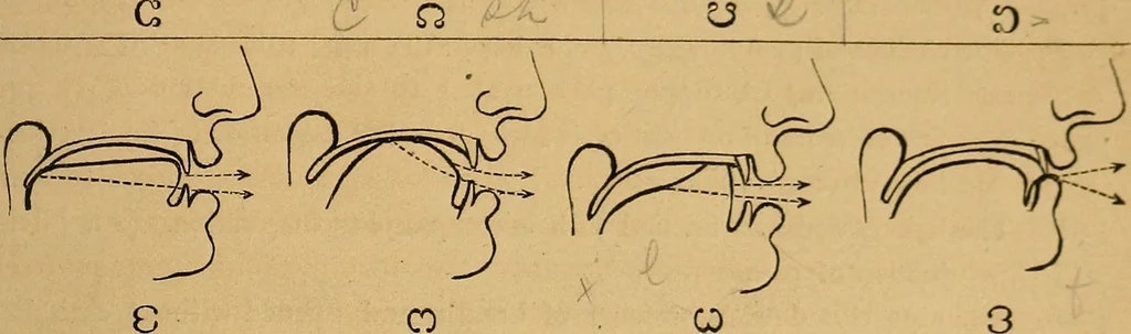 An illustration from Visible speech, the science of universal alphabets, : or Self-interpreting physiological letters, for the writing of all languages in one alphabet ; illustrated by tables, diagrams, and examples, 1867, leaf 66