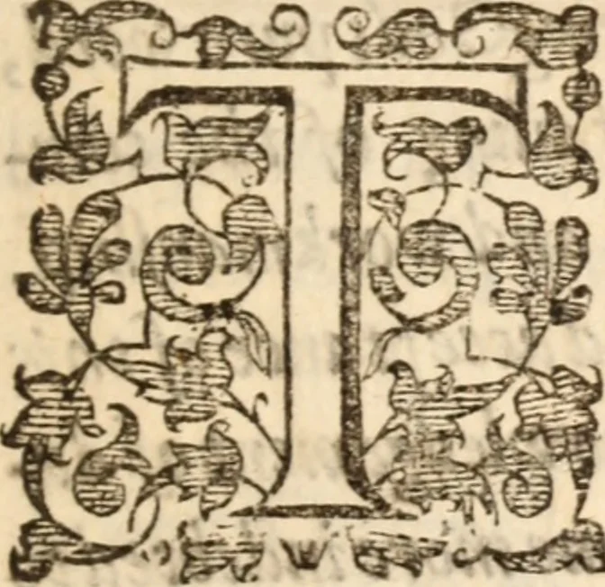 An illustration from God made visible in His workes, or, A treatise of the externall workes of God .., 1641, leaf 6