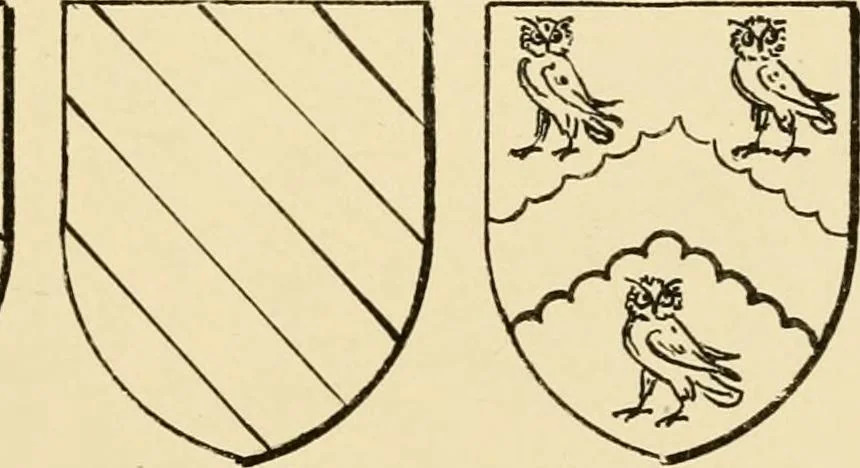 An illustration from The Visitacion of Staffordschire, 1883, leaf 54