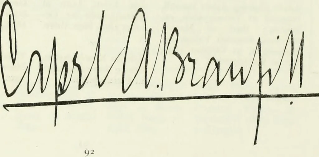 An illustration from Visitation of England and Wales, 1893, leaf 113
