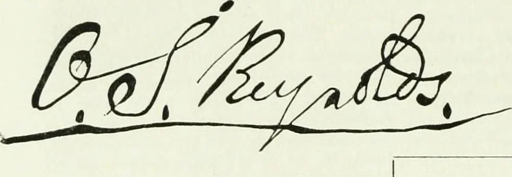An illustration from Visitation of England and Wales, 1893, leaf 199