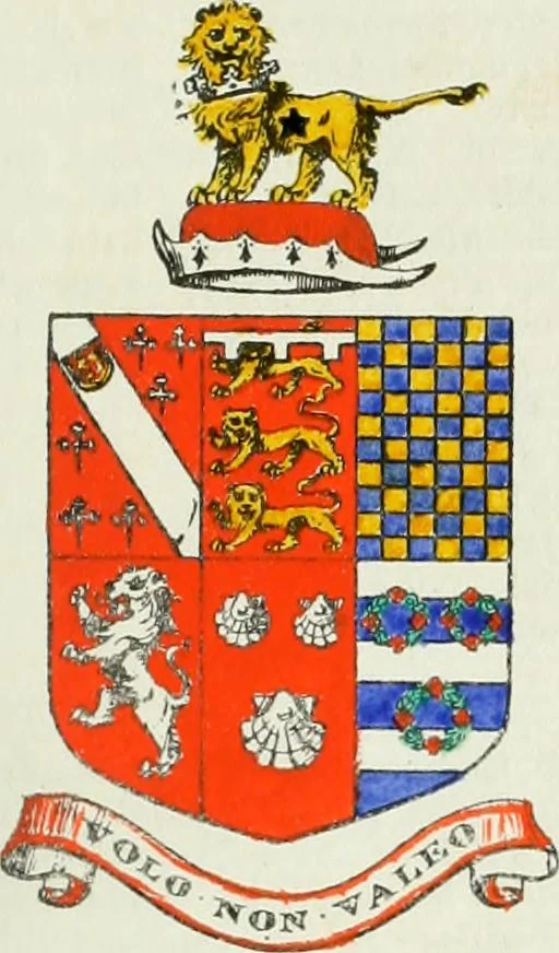 An illustration from Visitation of England and Wales, 1893, leaf 216