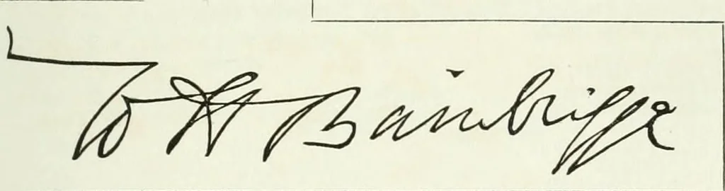 An illustration from Visitation of England and Wales, 1893, leaf 248