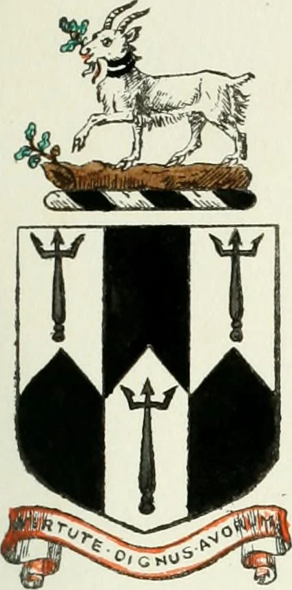 An illustration from Visitation of England and Wales, 1893, leaf 254