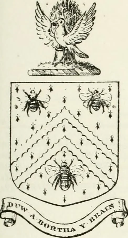 An illustration from Visitation of England and Wales, 1893, leaf 14