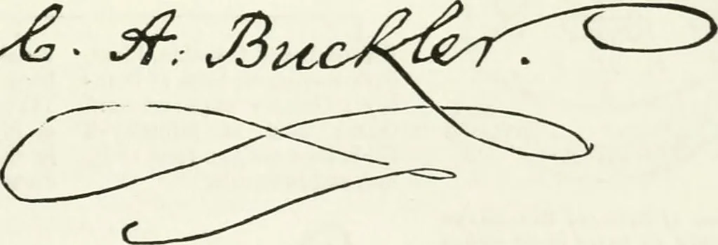 An illustration from Visitation of England and Wales, 1893, leaf 202