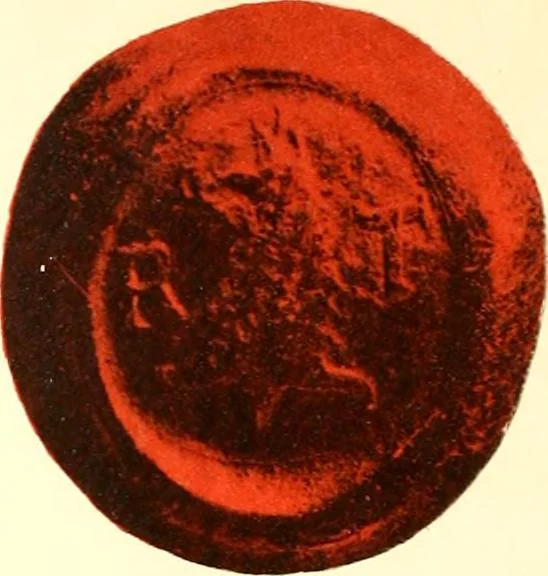 An illustration from Visitation of England and Wales, 1896, leaf 51