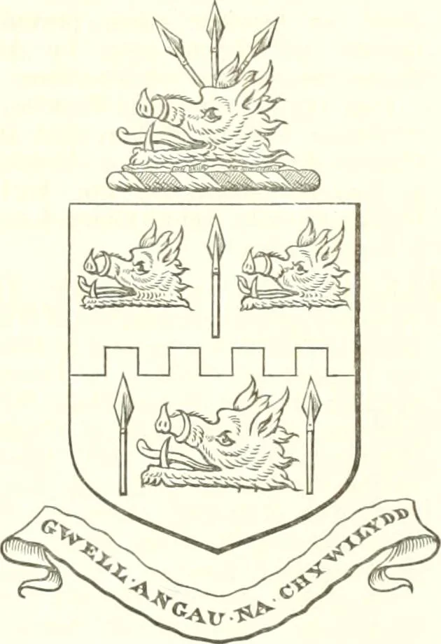 An illustration from Visitation of England and Wales, 1893, leaf 249