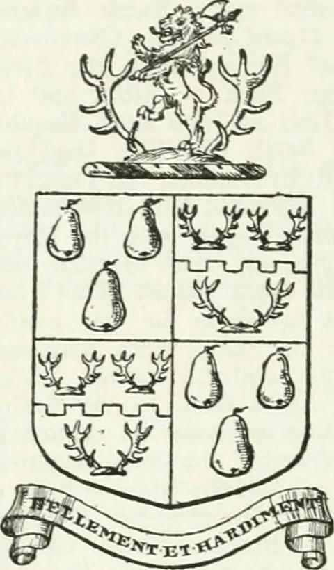 An illustration from Visitation of England and Wales, 1893, leaf 163