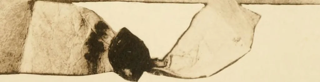 An illustration from Visitation of England and Wales, 1893, leaf 146