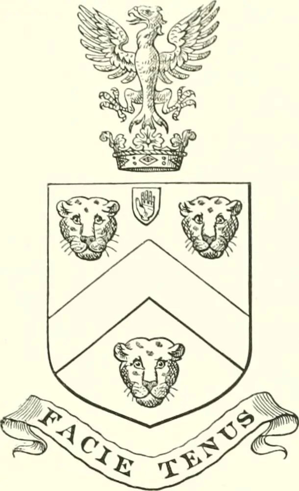 An illustration from Visitation of England and Wales, 1893, leaf 46