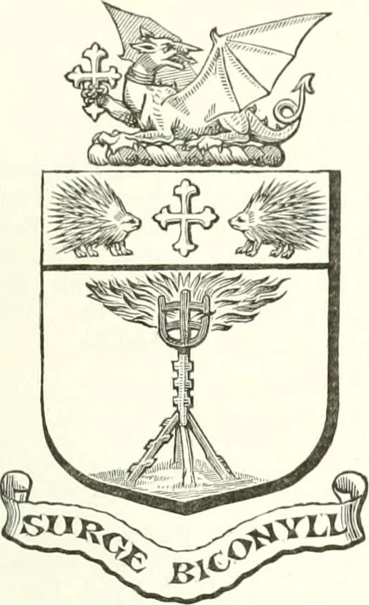 An illustration from Visitation of England and Wales, 1893, leaf 178