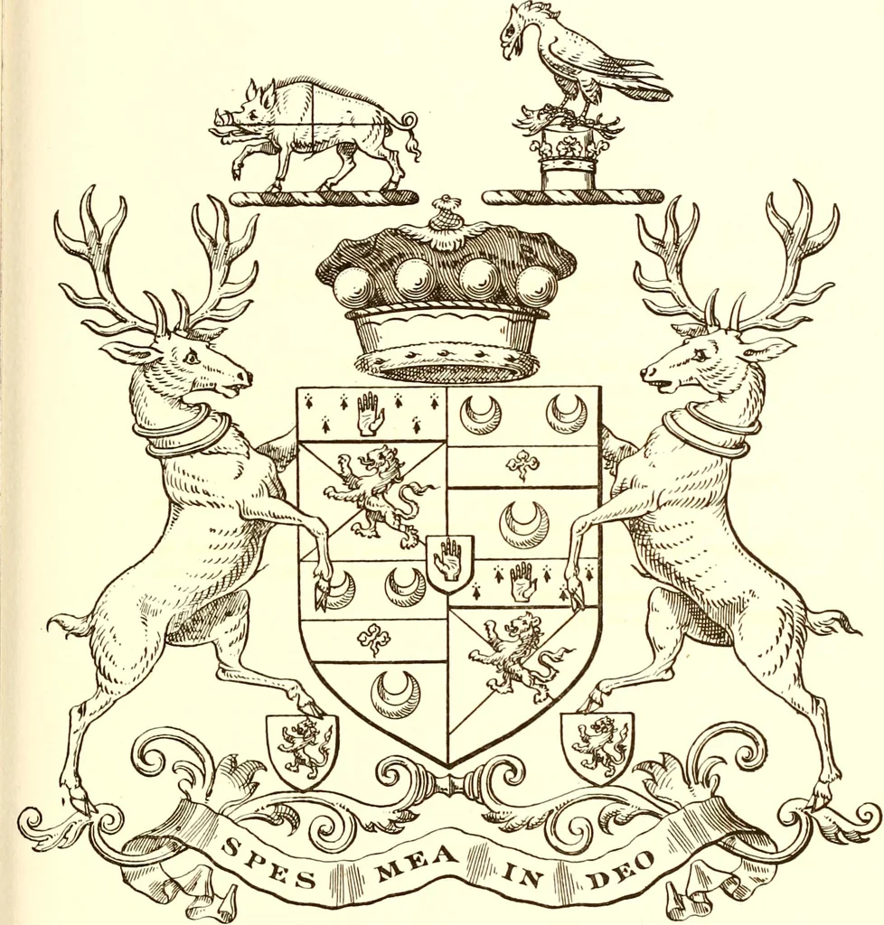 An illustration from Visitation of Ireland, 1897, leaf 116