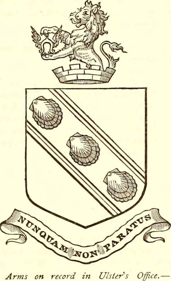 An illustration from Visitation of Ireland, 1897, leaf 29