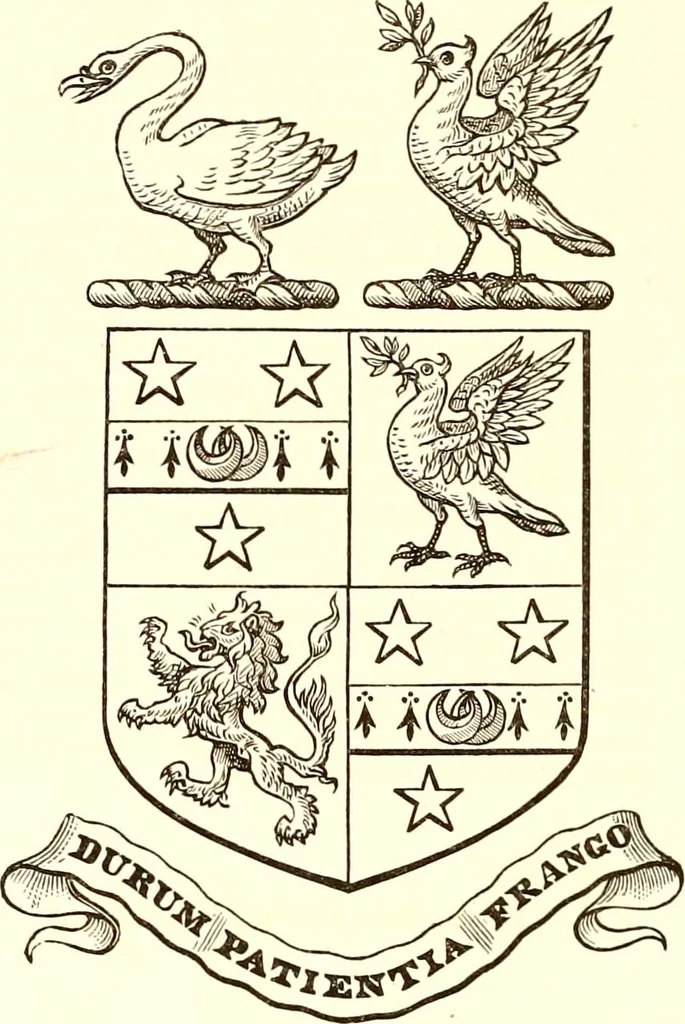 An illustration from Visitation of Ireland, 1897, leaf 45