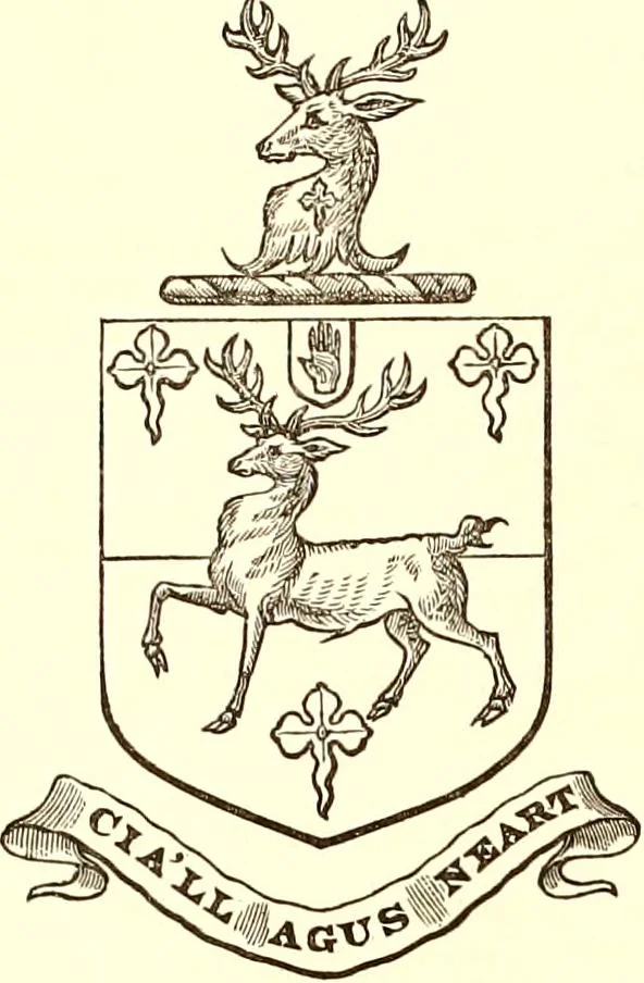 An illustration from Visitation of Ireland, 1897, leaf 81